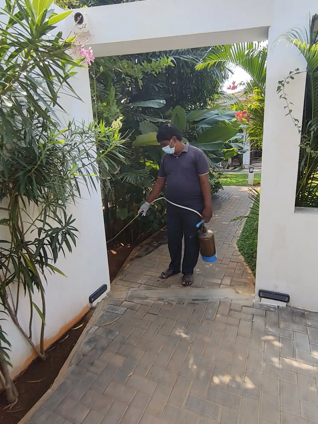 Technician treating the garden path of a villa for pests