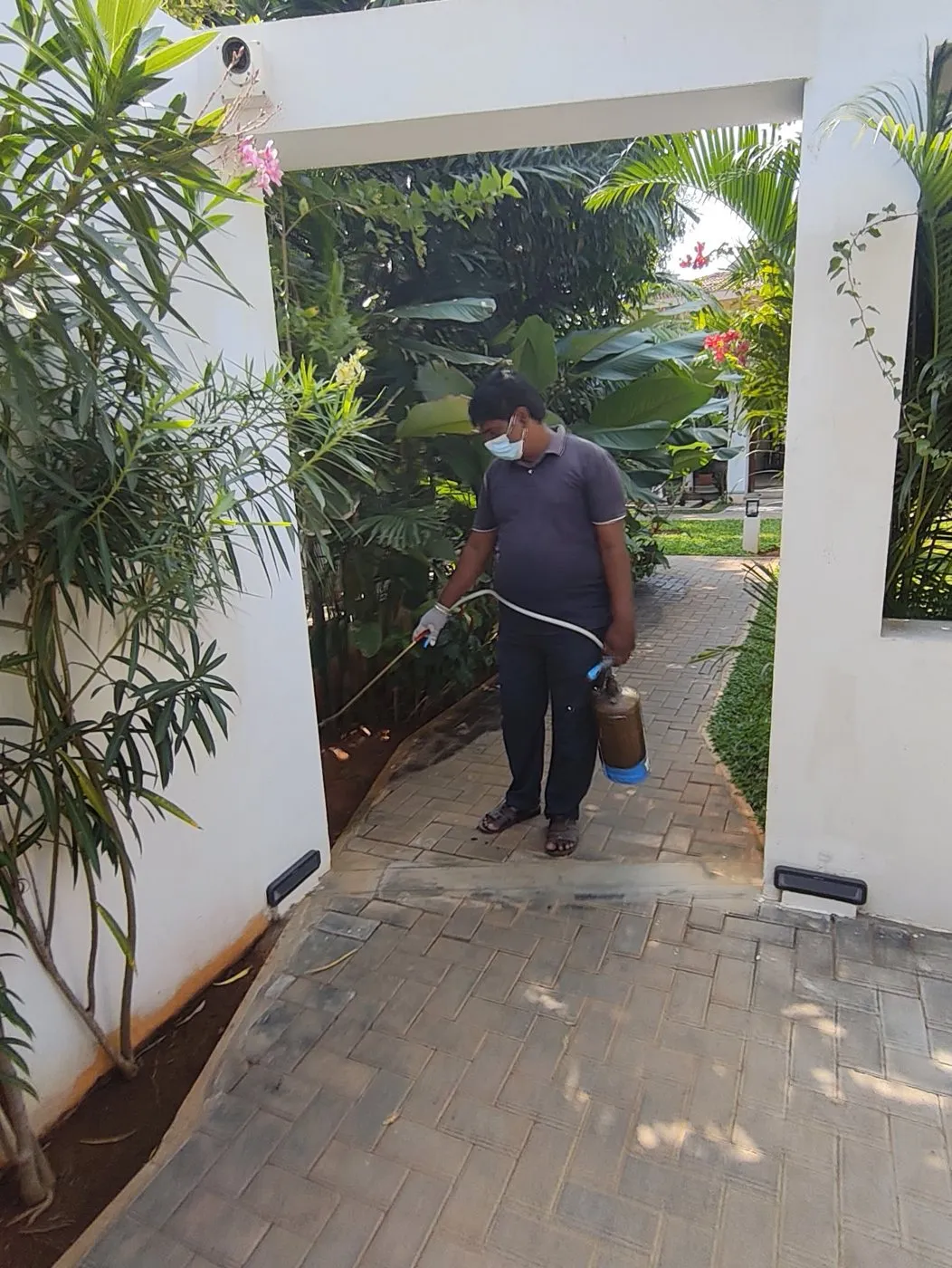 Technician treating the garden path of a villa for pests